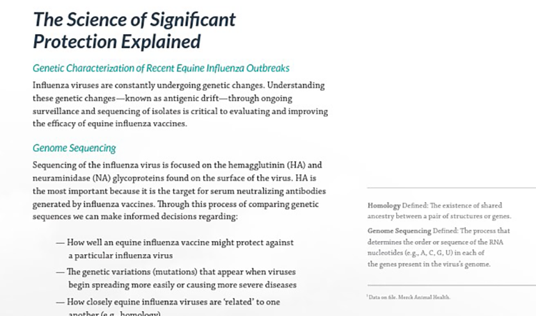 Equine Resources | Merck Animal Health USA