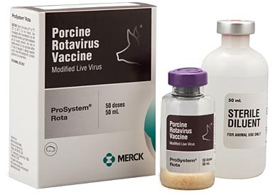 PROSYSTEM® ROTA | Merck Animal Health USA