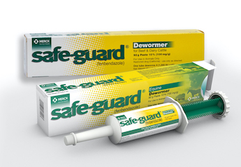 SAFE-GUARD® (fenbendazole) Paste 92 Gram | Merck Animal Health USA