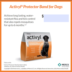 ACTIVYL® Protector Band for Dogs 