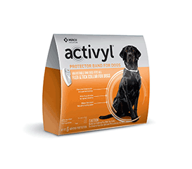 ACTIVYL® Protector Band for Dogs | Merck Animal Health USA