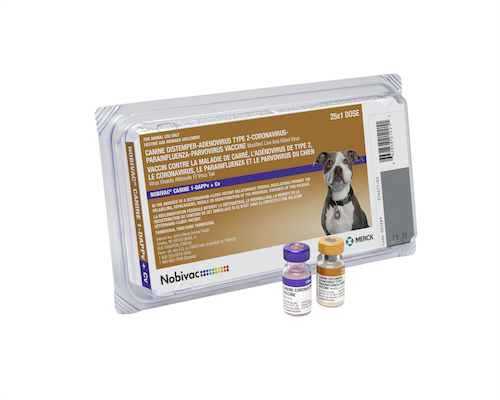 Nobivac® Canine 1-DAPPv+Cv | Merck Animal Health USA