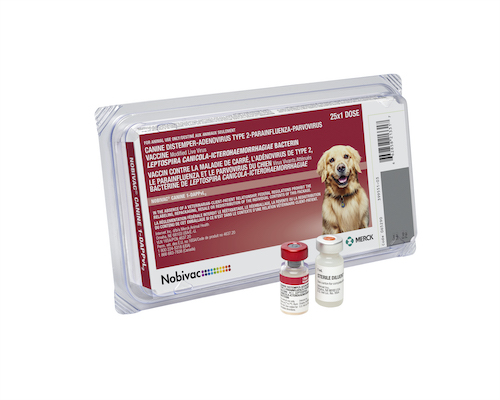 Nobivac® Canine 1-DAPPvL2+Cv | Merck Animal Health USA