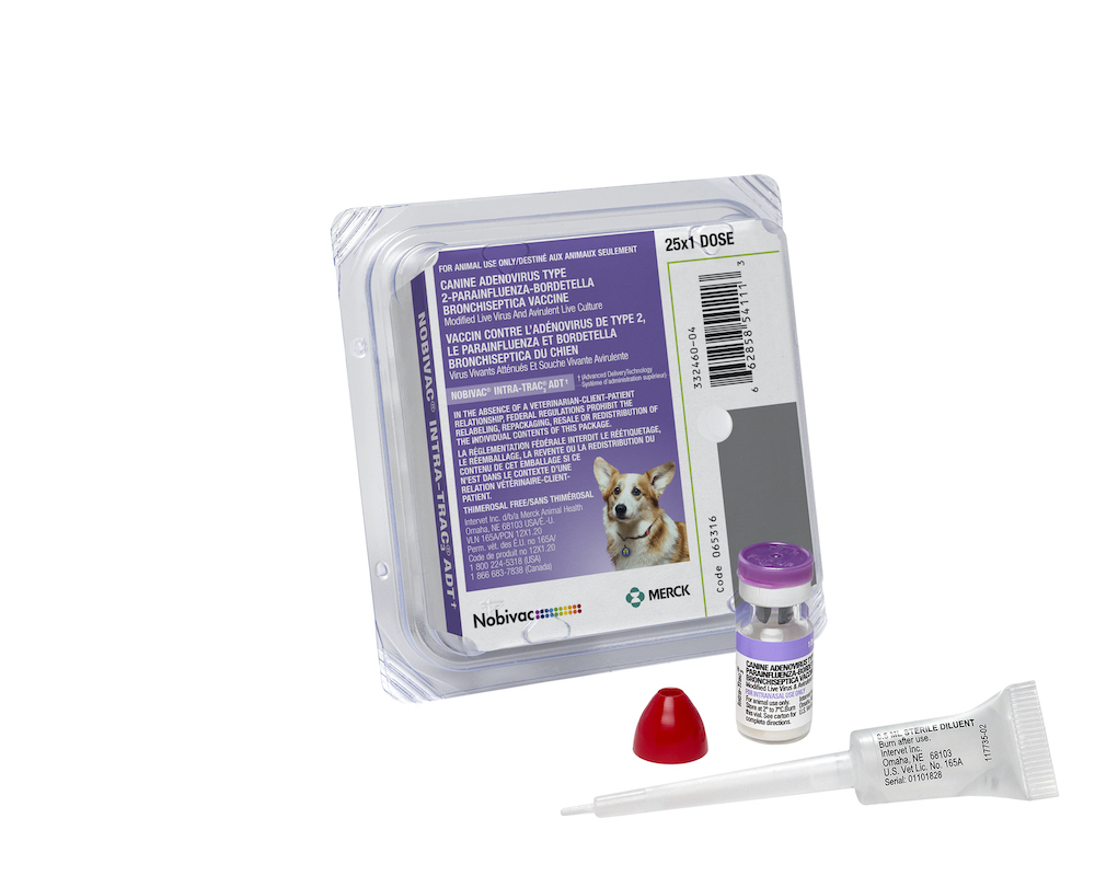 Nobivac® Intra-Trac®3 ADT | Merck Animal Health USA