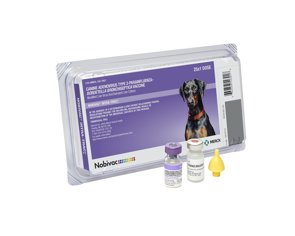 Canine Infectious Respiratory Disease Complex (CIRDC) | Merck Animal ...