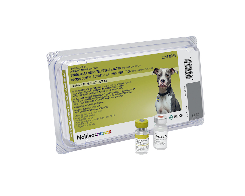 Nobivac® Intra-Trac® Oral Bb | Merck Animal Health USA