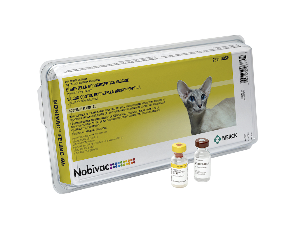 Nobivac® Feline-Bb Vaccine | Merck Animal Health USA