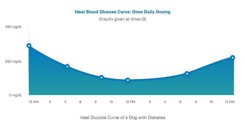 High blood sale glucose in dogs