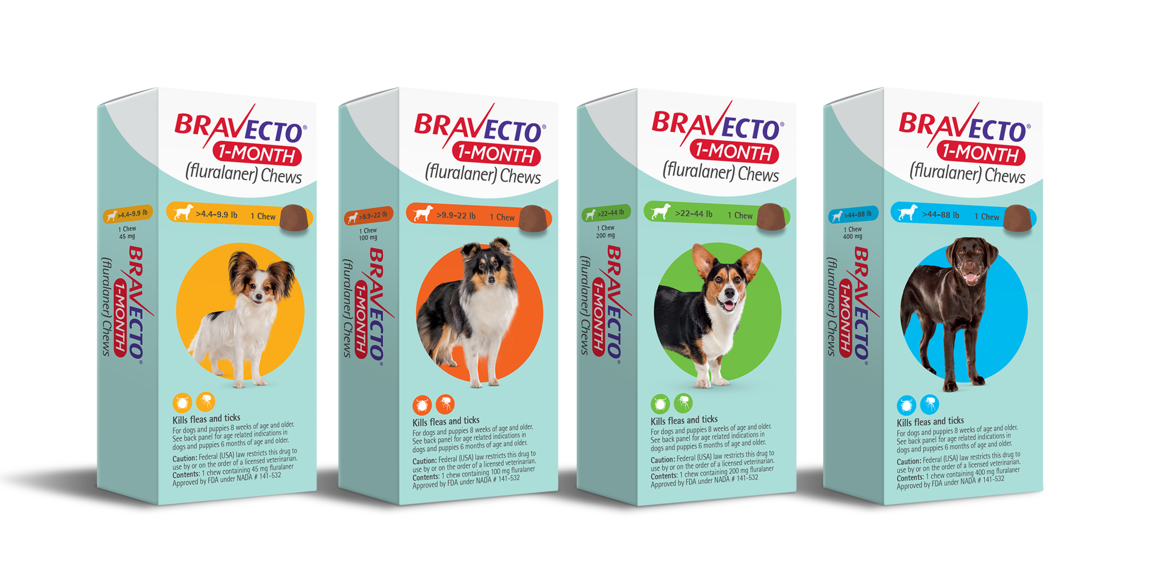 BRAVECTO® 1-MONTH Chews for Dogs and Puppies | Merck Animal Health USA