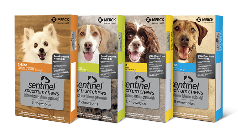 Sentinel bravecto 2025 for dogs