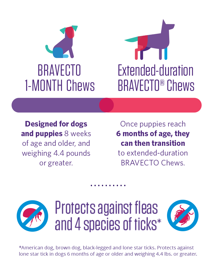 bravecto for puppies side effects