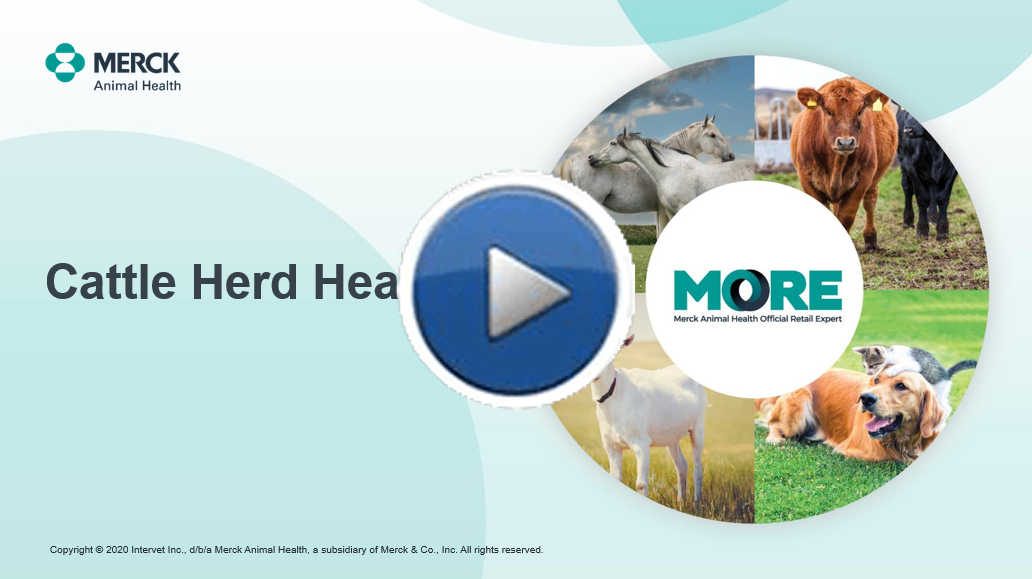 Cattle Herd Health | Merck Animal Health USA