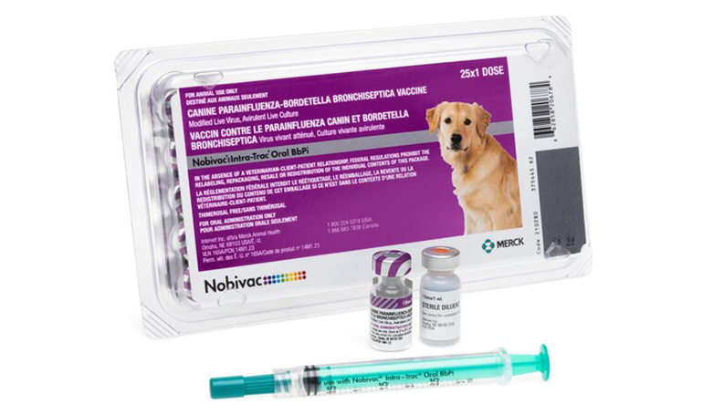 NOBIVAC® Intra-Trac® Oral BbPi | Merck Animal Health USA