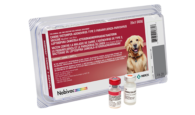 NOBIVAC® Canine 1-DAPPvL2 | Merck Animal Health USA