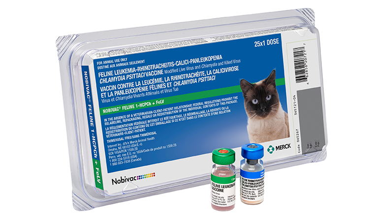 Nobivac hot sale felv vaccine