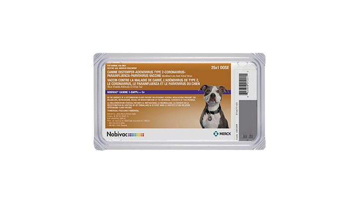 NOBIVAC® Canine 1-DAPPv+Cv | Merck Animal Health USA