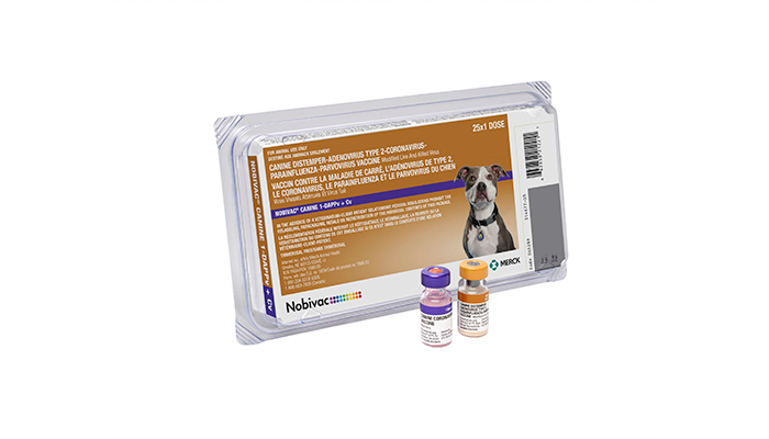 NOBIVAC® Canine 1-DAPPv+Cv | Merck Animal Health USA