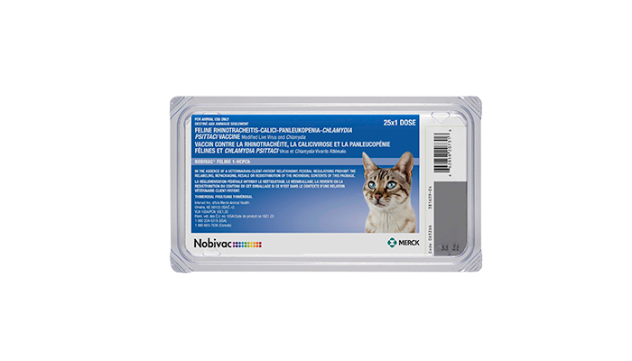 NOBIVAC® Feline 1-HCPCh | Merck Animal Health USA