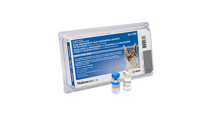 NOBIVAC® Feline 1-HCPCh | Merck Animal Health USA