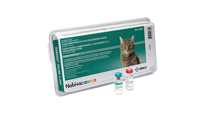 NOBIVAC® Feline 3-HCP | Merck Animal Health USA