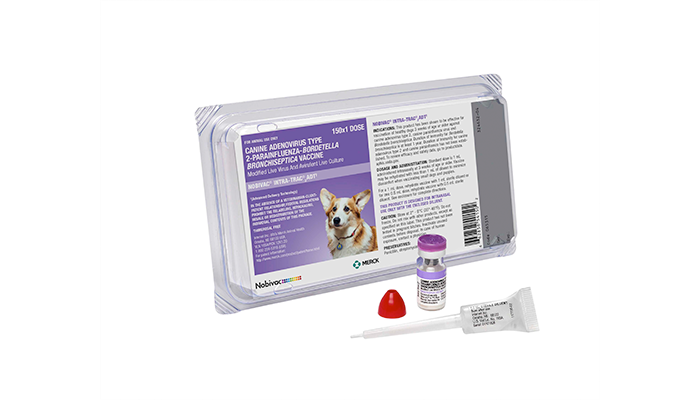 NOBIVAC® INTRA-TRAC®3 ADT | Merck Animal Health USA