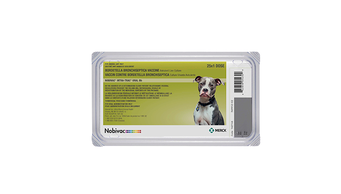 NOBIVAC® INTRA-TRAC® ORAL Bb | Merck Animal Health USA