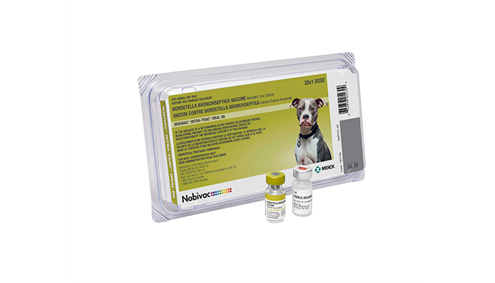 NOBIVAC® INTRA-TRAC® ORAL Bb | Merck Animal Health USA