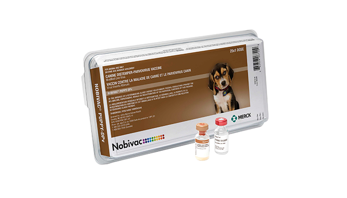 NOBIVAC® Puppy-DPv | Merck Animal Health USA