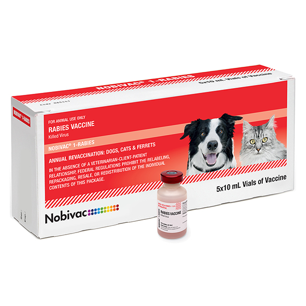 Nobivac® 1-Rabies for dogs | Merck Animal Health