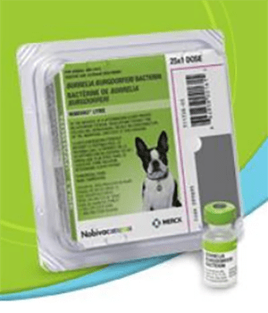 Nobivac Lyme - For Pet Owners | Merck Animal Health USA