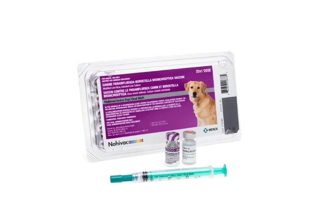 NOBIVAC® INTRA-TRAC® Oral BbPi | Merck Animal Health USA