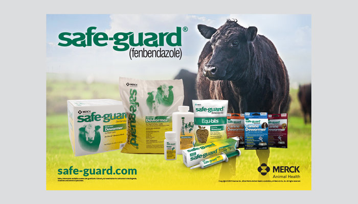 SAFE-GUARD® (fenbendazole) Canine Dewormer | Merck Animal Health USA