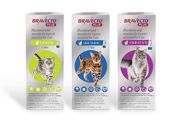 https://www.merck-animal-health-usa.com/wp-content/uploads/sites/54/2023/02/Bravecto-Plus-Cats-Family-In-Line-size-order.png?w=600