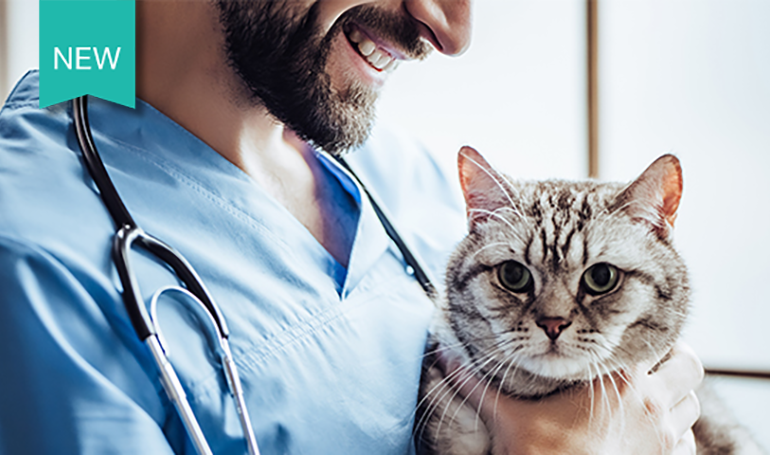 Upcoming Webinars | Merck Animal Health USA