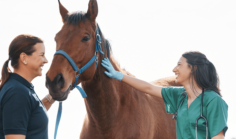 Equine Recurrent Uveitis | Merck Animal Health USA