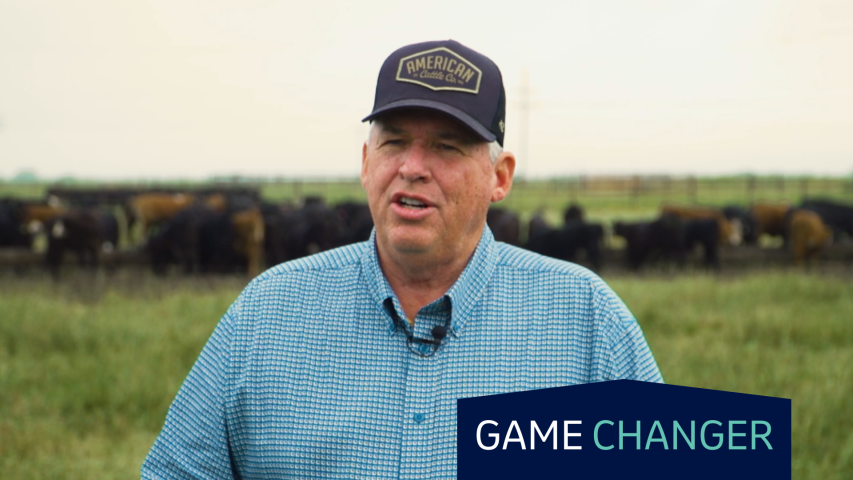 A man stands in front of a herd of cattle.