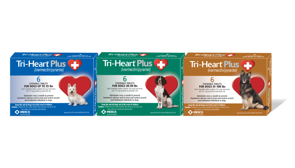 TRI-HEART PLUS group