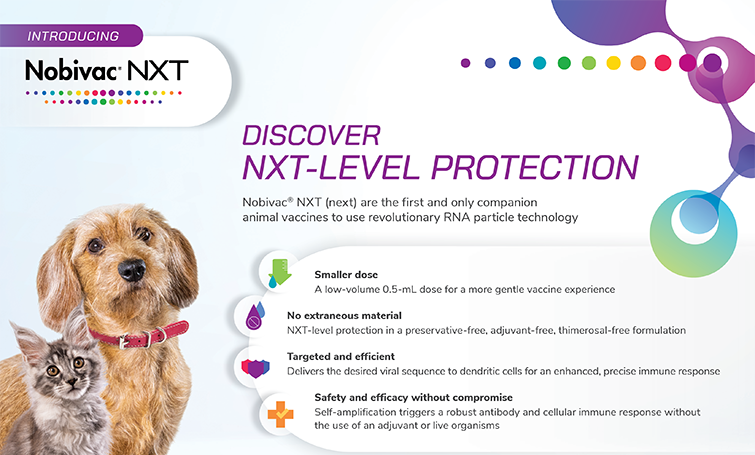 discover NXT-Level protection
