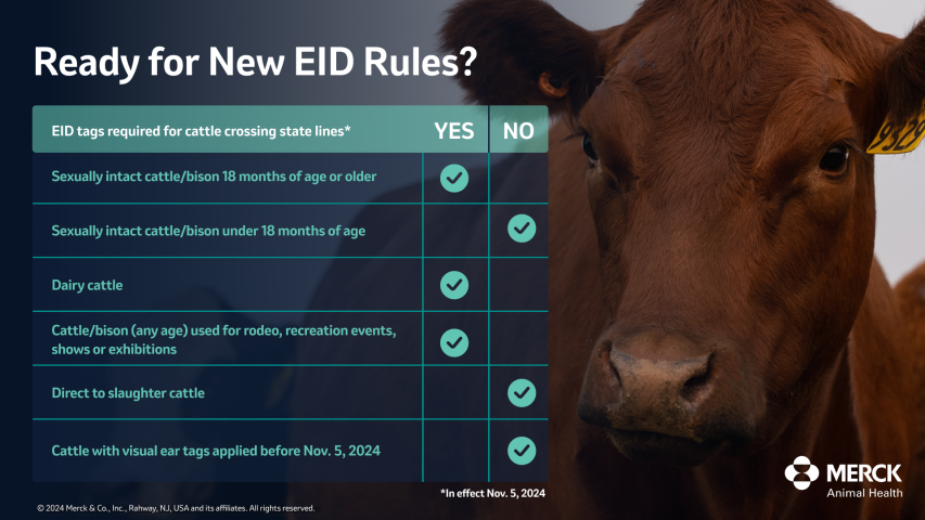 New EID Rules Infographic