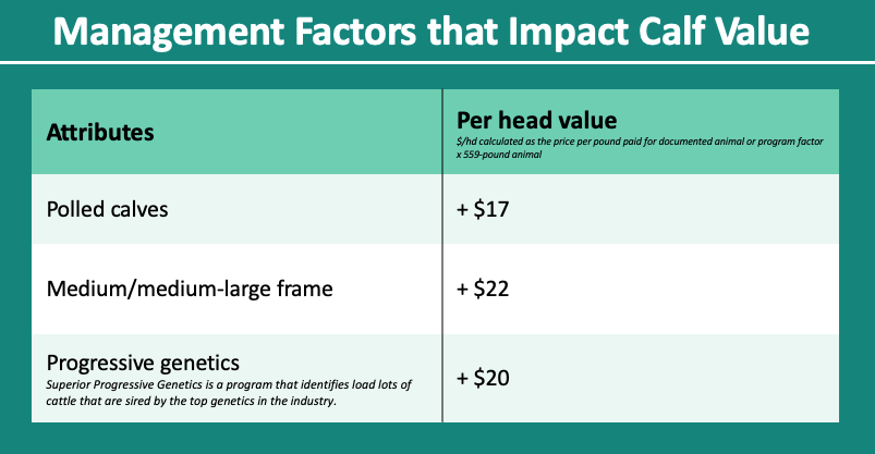 Management factors that impact calf value chart