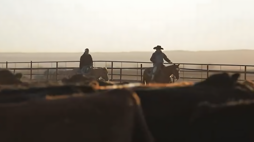 Two people ride horses in a cattle lot.