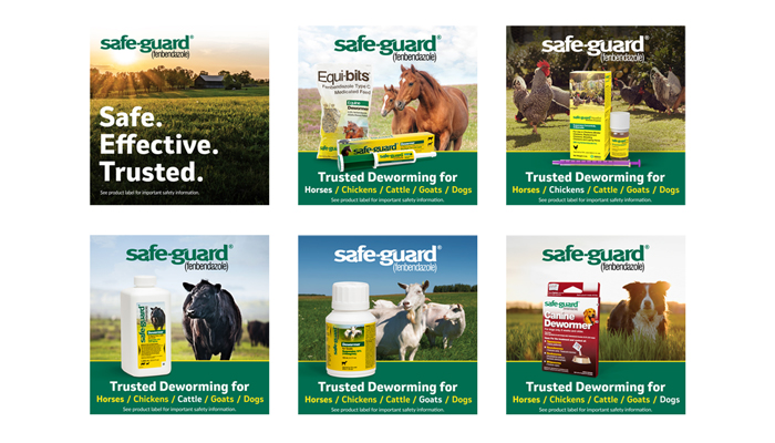 SAFE-GUARD® Multi-Species Social Assets