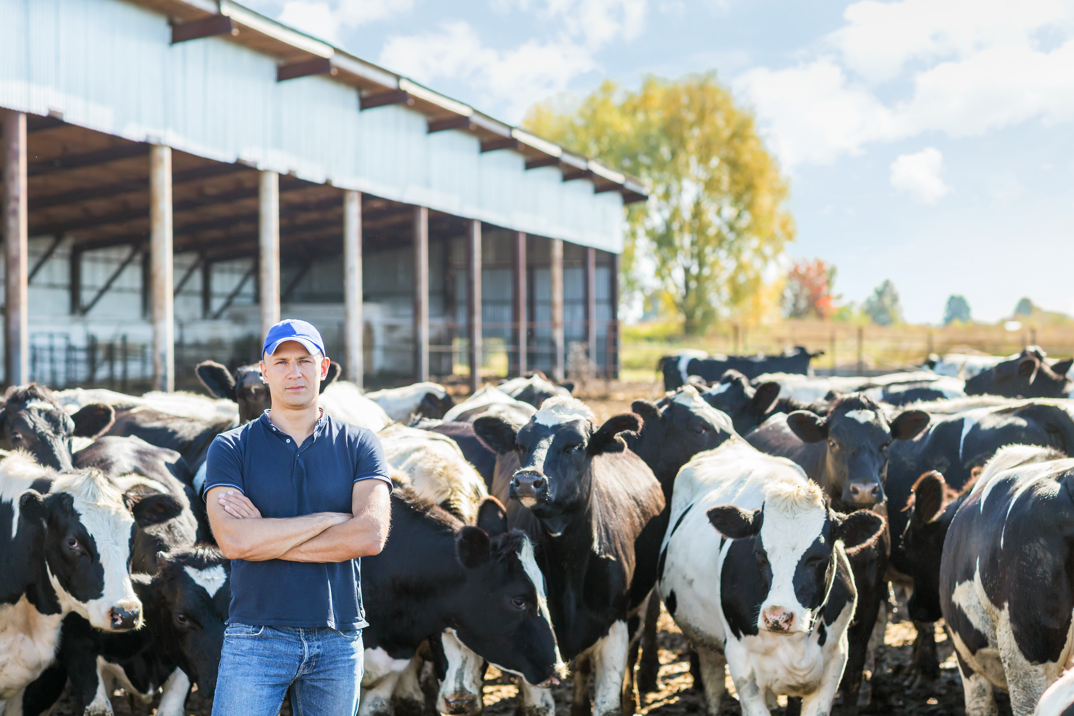 portrait of a man on livestock ranches